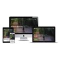 Squarespace websites