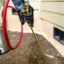 pest control services