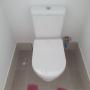 Cold Water Manual Bidet