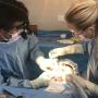 Dr. Ash