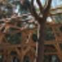 Timber Barn Frame