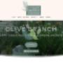 Olive Branch Landscaping