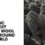 AME Wool Exports