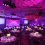 Awards Night & Gala Dinners