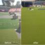 Brisbane's #1 One-Stop-Shop for Eco-Friendly Synthetic Grass