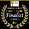 Finalist-Historical-Paint