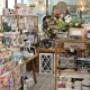 Nextra-Swan-Newsagency