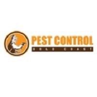 Pest Control Gold Coast