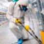 Pest Control Coogee