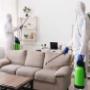 Pest Control Coogee