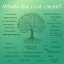 root cause