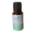 Wholistic Oxytocin Release (Stress Antidote)