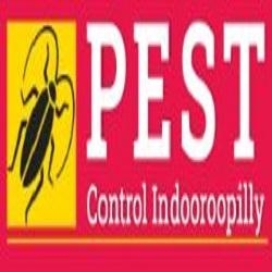 Pest Control Indooroopilly