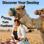 Discover Your Destiny