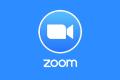 Phone Zoom Readings