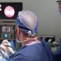 SASH - the Small Animal Specialist Hospital