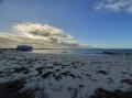 Busselton Wine Tours