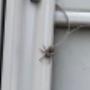 # 67