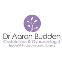 Dr Aaron Budden