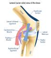 Relieve Joint Pain with Knee Treatment & Surgery in Melbourne