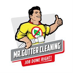 Mr Gutter Cleaning