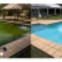 Green Pool Cleaning