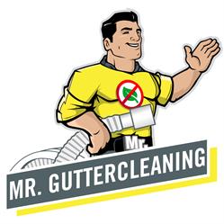 Mr Gutter Cleaning Seaford