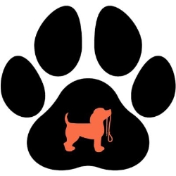 Brisbane Dog Walkers