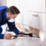 Your Local Environmentally Friendly Pest Control Experts