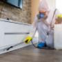 Your Local Environmentally Friendly Pest Control Experts