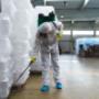 Your Local Environmentally Friendly Pest Control Experts