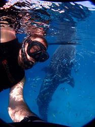 Commercial Water Dive