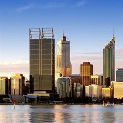 Renew Insurance Services