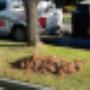 Garden Edging Adelaide