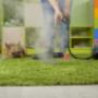 Professional Carpet Cleaning For Homes & Offices