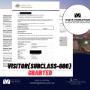 Visitor visa (Subclass 600) granted