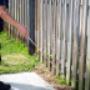 EPM Pest Control Brisbane