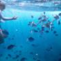 Respite @ Byron Care Stay - Respite NDIS Byron Bay snorkelling