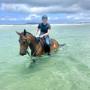 Respite @ Byron Care Stay - Respite NDIS accommodation beach Horse riding