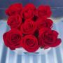 Roses Only