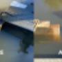 concrete polishing
