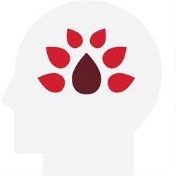 Mindful Awareness