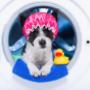 Bosch washing machine repairs near me