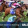 Racehorse Syndication & Bloodstock Management - Australia