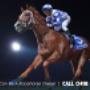 Racehorse Syndication & Bloodstock Management - Australia