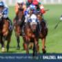 Racehorse Syndication & Bloodstock Management - Australia