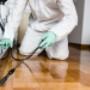 pest control treatement