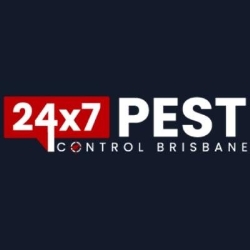 247 Pest Control Brisbane