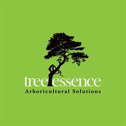 Tree Essence