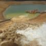 Dewatering Pump